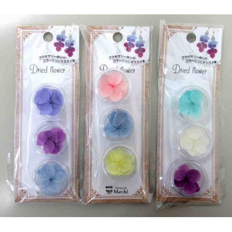 キャンドゥ 押し花セット